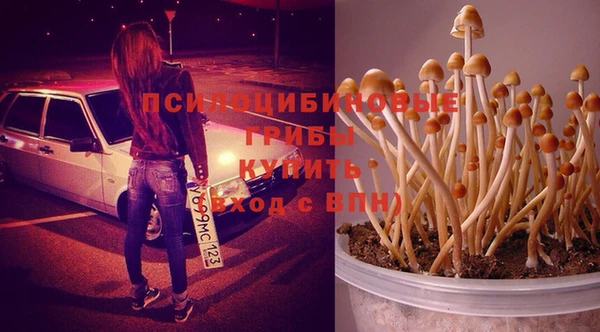 Альфа ПВП Алексин