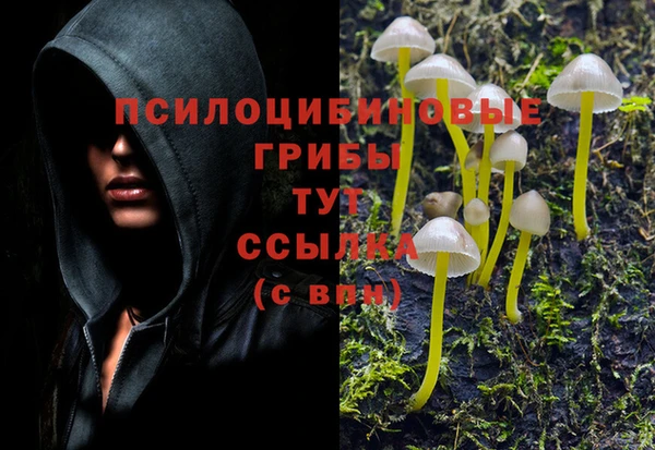 ECSTASY Саяногорск
