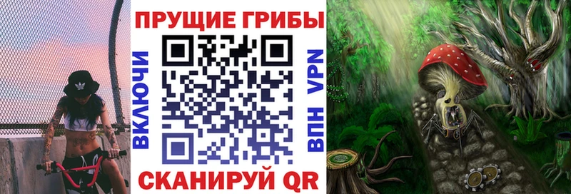 наркошоп  Камызяк  ссылка на мегу сайт  Псилоцибиновые грибы мухоморы 